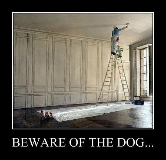 Achtung vor dem Hund