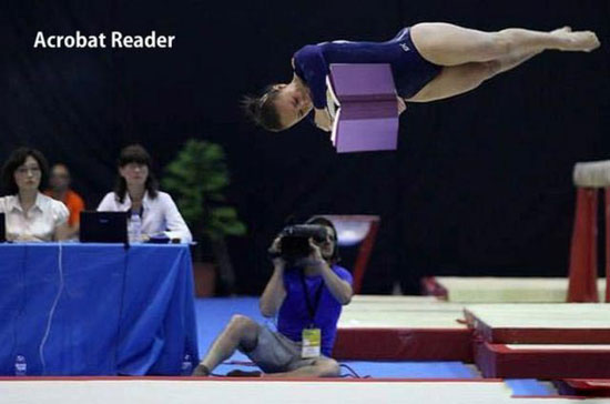 acrobat reader