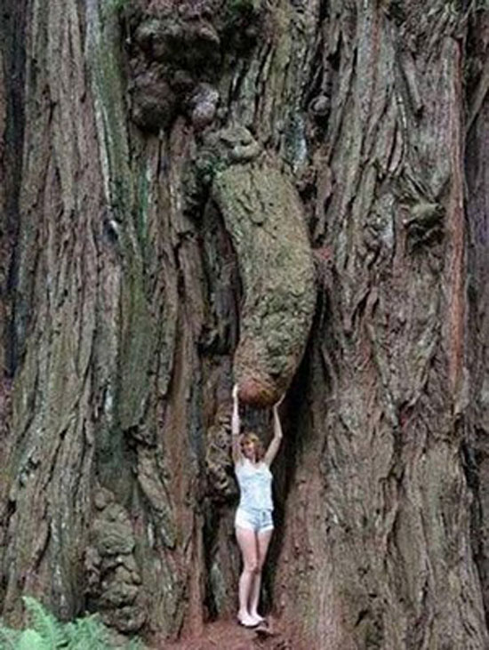 Sexy Natur (: