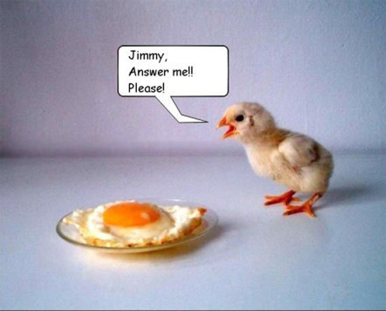 Jimmy, antworte mir!  Bitte !!!
