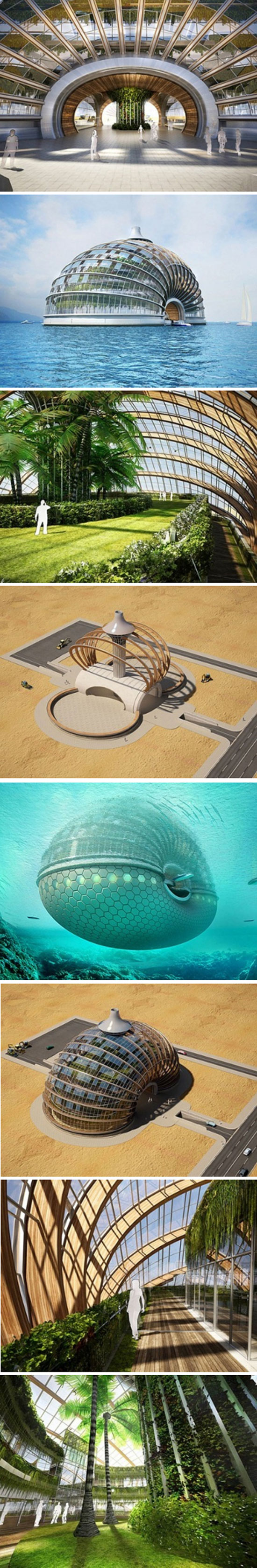 ark hotel