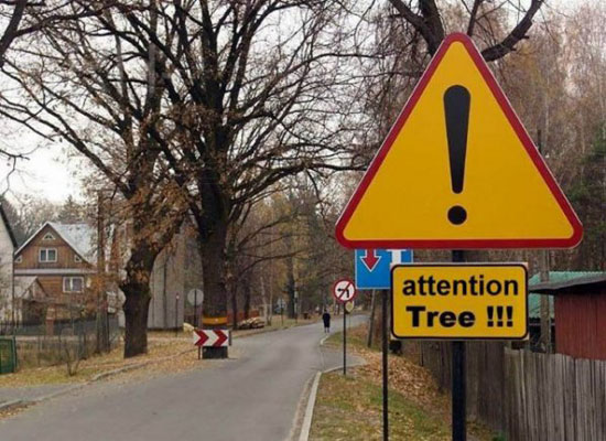 Achtung BAUM  !!!! - VerkehrsSchild