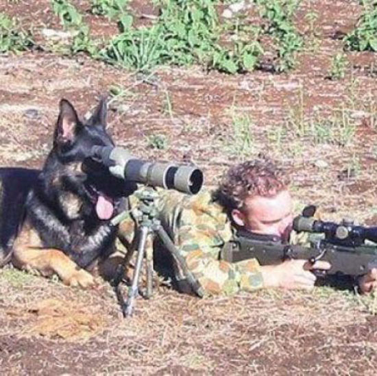 auf-der-jagd
