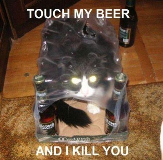 Berühre mein Bier - Win Bild