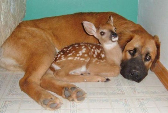 best friends