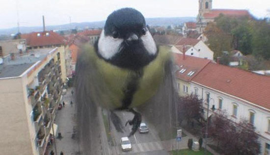 BirdZilla