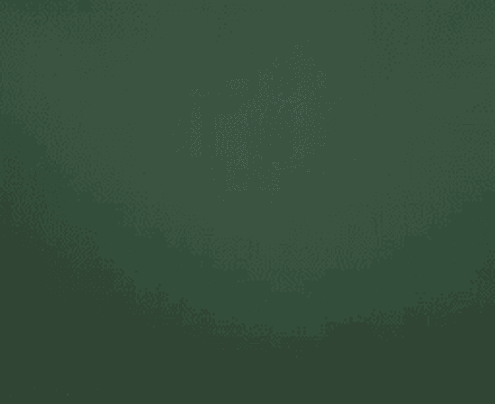 blitz GIF