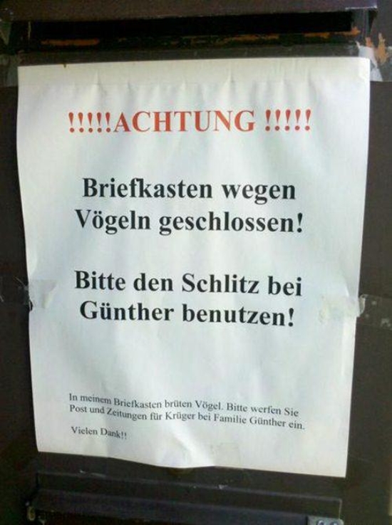 Briefkasten wegen Vögeln geschlossen - Win Bild