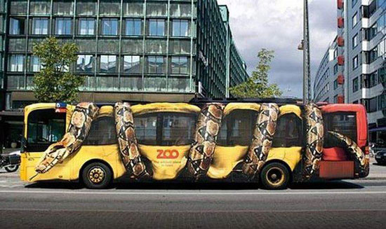 bus2