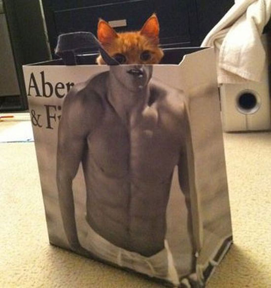 catman