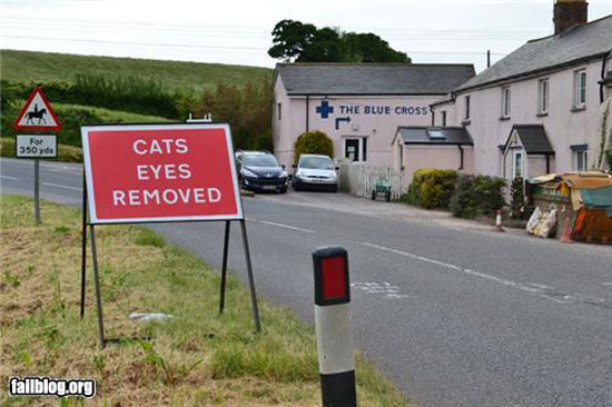 cats eyes removed