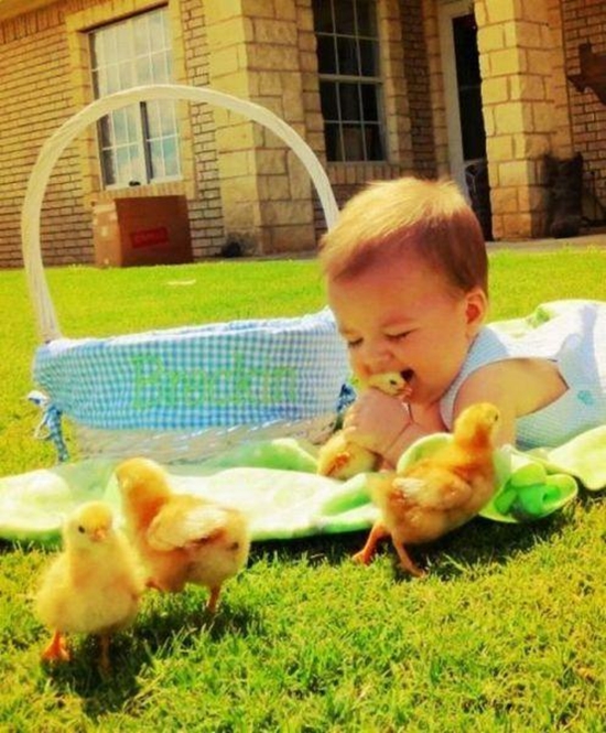 Chicken McNuggets - Fail Bild