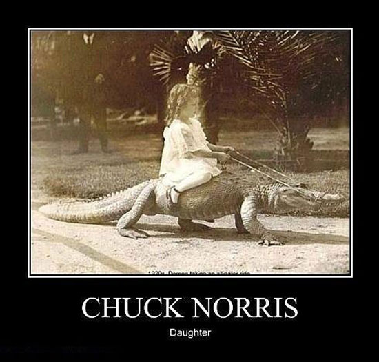 chuck norris daughter