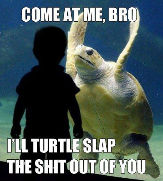 come at me bro