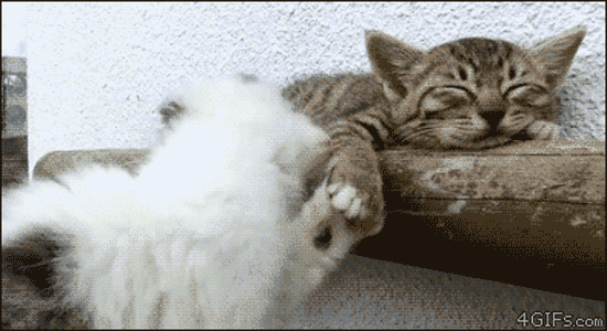 Come on GIF
