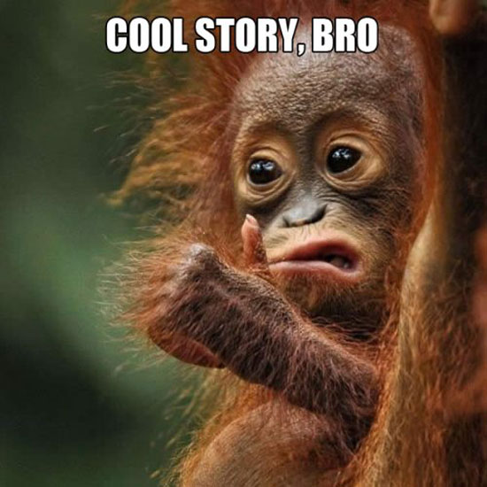cool story bro