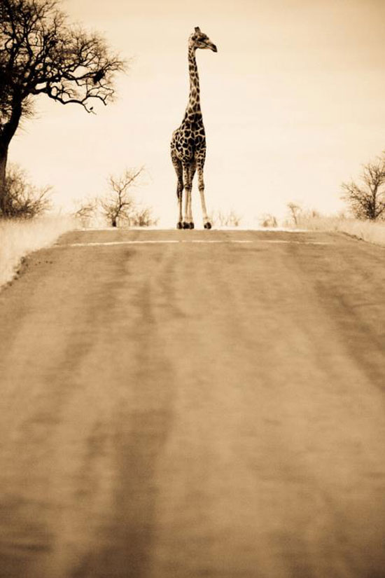 Cooles Bild on the road