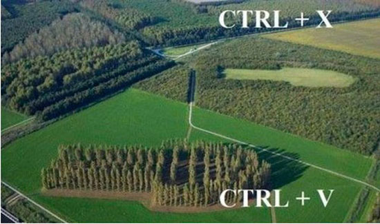Copy Paste