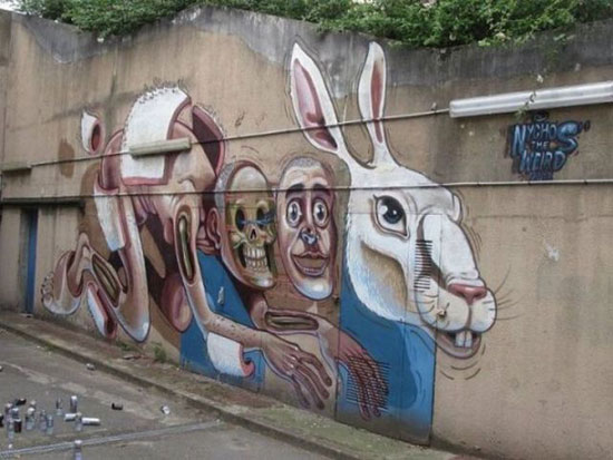 crazy rabbit