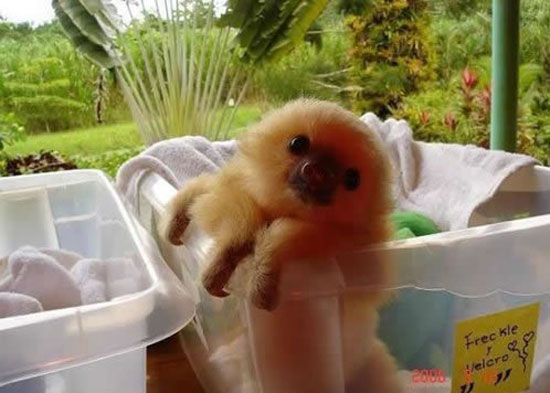 cute enough