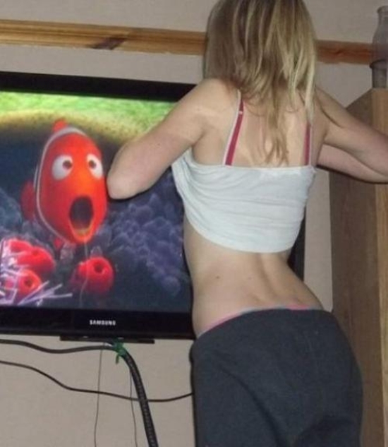 Da staunt Nemos Papa aber - Win Bild