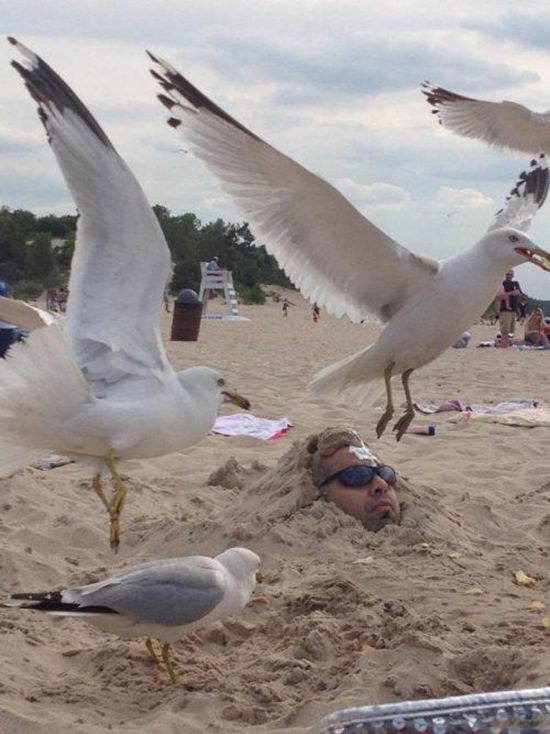 Den Freund eingraben und dann Cracker in den Sand werfen - Fail Bild