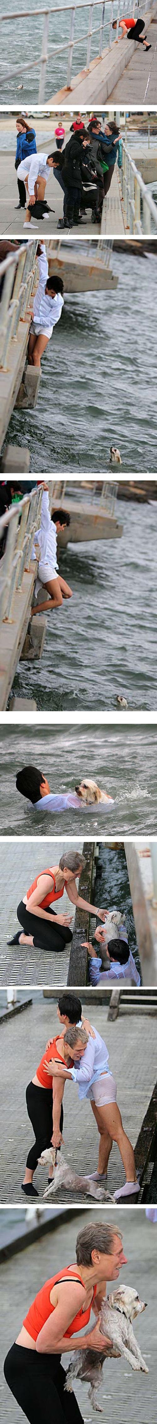 Den Hund fremder Leute retten - Win Bild