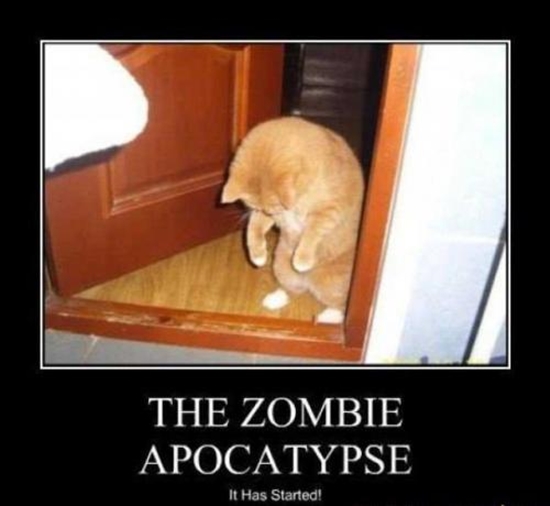 Die Zombie-Apokalypse - DeMotivational Bild