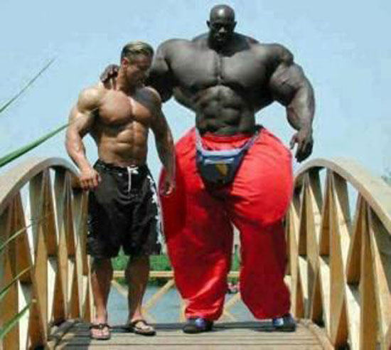 der groesste bodybuilder