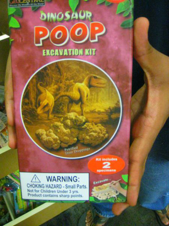Dinosaurier poop