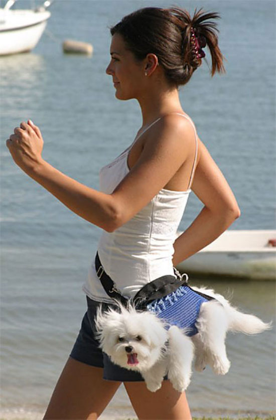 dog walking