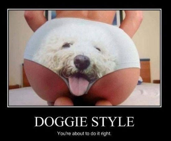 doggy style