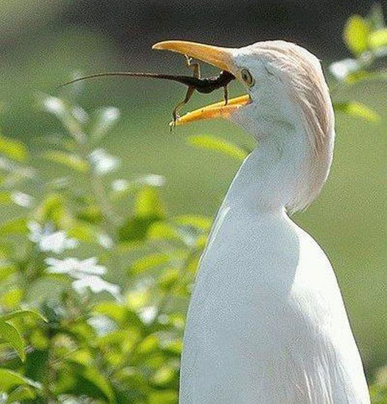 donrsquot eat me
