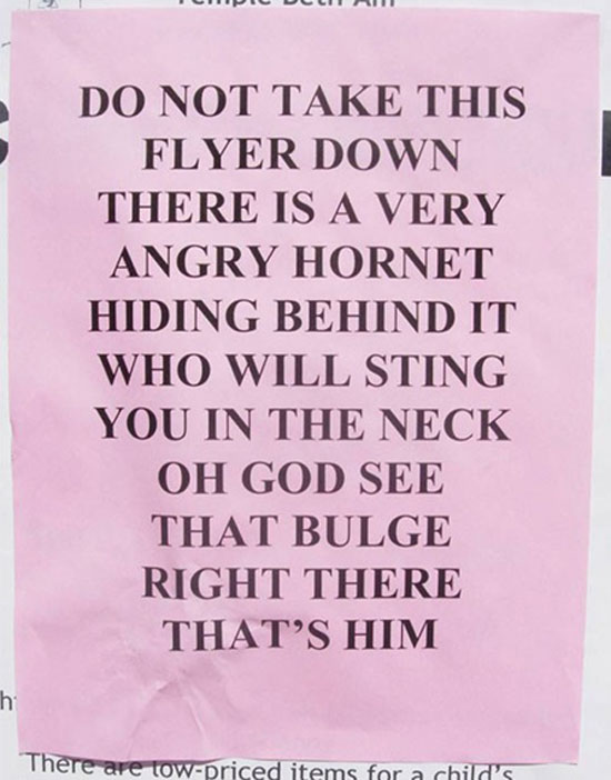 dont take this flyer down
