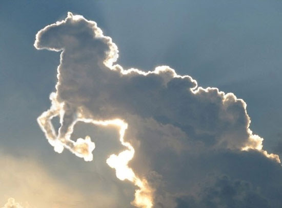 Ein Pferd am Himmel...