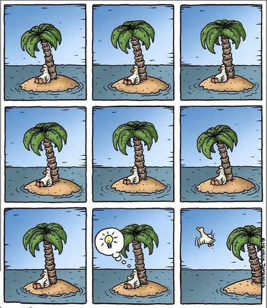 ein schlauer Vogel...