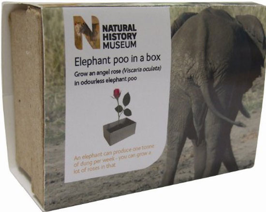elephant poo