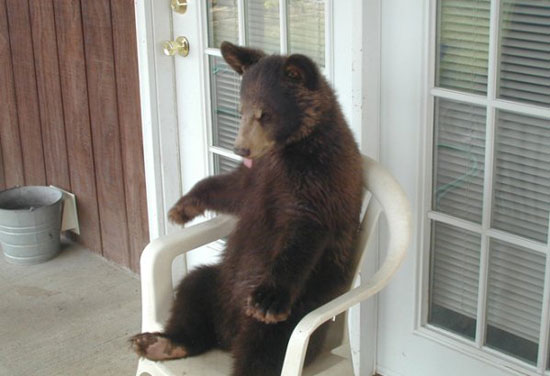 enjoying the chair like a boss