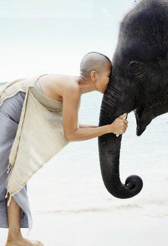 Epic Pic