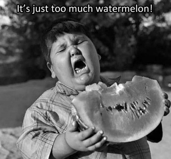 Es ist einfach zuviel Wassermelone