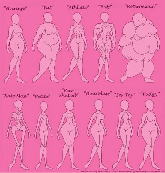 female body types anatomy