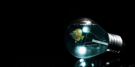 fg photo-manipulation03
