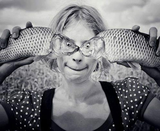 Fischauge