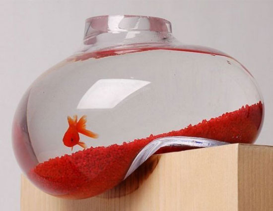 fish bowl