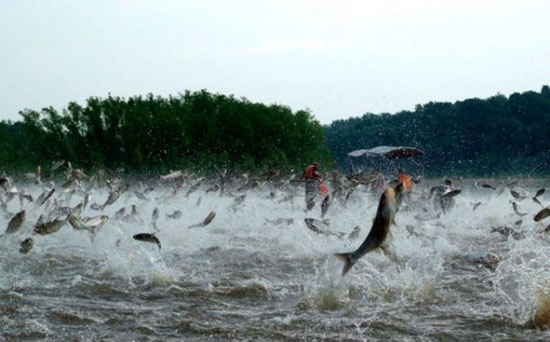 fishin season