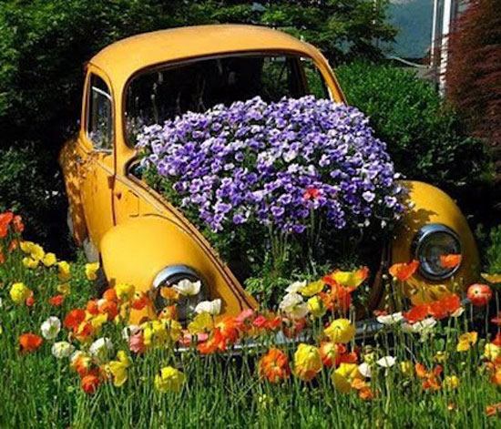 FlowerKäfer