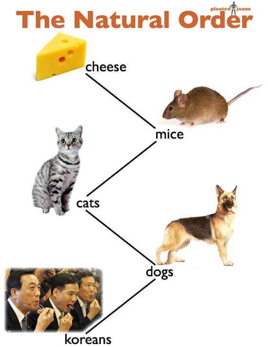 food chain 4651