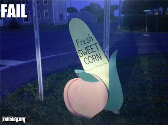 fresh sweet corn