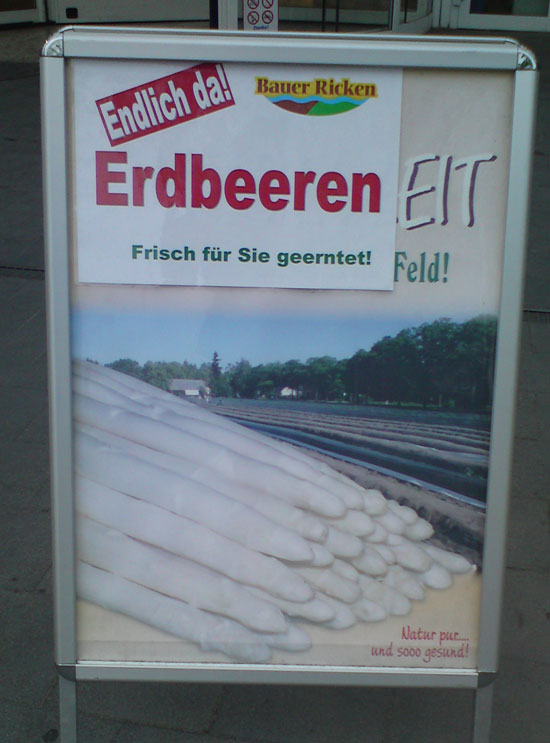 frische erdbeeren