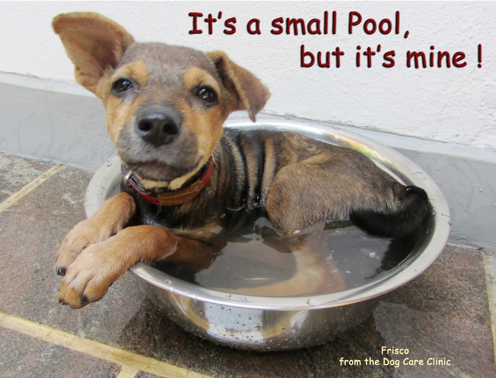 It's my Pool